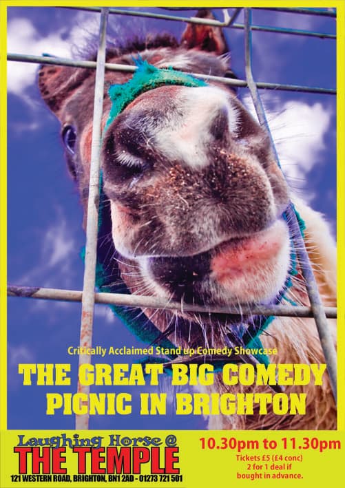 The Great Big Comedy Picnic